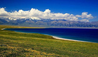 五月與八月的新疆伊犁 自由行中的生態足跡與環保思考